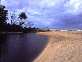Russell River National Park - Palm Beach Accommodation 0