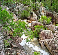 Crows Nest National Park - Palm Beach Accommodation