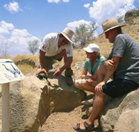 Riversleigh Fossil Fields - Palm Beach Accommodation