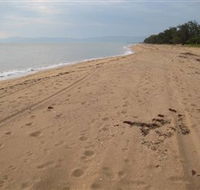 Forrest Beach - Palm Beach Accommodation