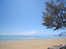 Blacks Beach - Palm Beach Accommodation 0