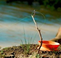 Charleville - Mangalore Warrego River Fishing Spot - Palm Beach Accommodation