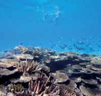 Australian Institute of Marine Science - Palm Beach Accommodation