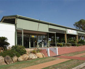 Terrestrial Georgetown Centre - Palm Beach Accommodation 0