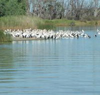 Lake Ross - Palm Beach Accommodation