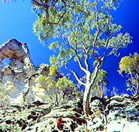 Mount Moffatt Section - Carnarvon National Park - Palm Beach Accommodation