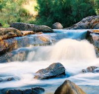 Crows Nest Falls - Palm Beach Accommodation