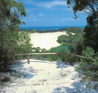 Lake Wabby Track - Palm Beach Accommodation