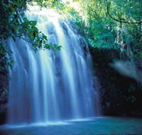 Zillie Falls - Palm Beach Accommodation