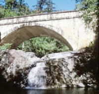 Mount Spec Paluma Range National Park - Palm Beach Accommodation