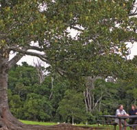 Ravensbourne National Park - Palm Beach Accommodation