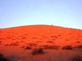 French Line - Simpson Desert - Palm Beach Accommodation 0