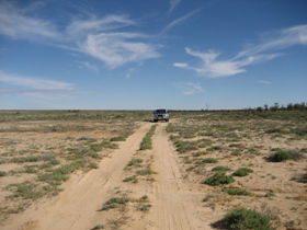 Lake Bindegolly Circuit - Palm Beach Accommodation 0