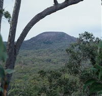 Mount Fox - Palm Beach Accommodation