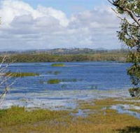 Lake Barfield - Palm Beach Accommodation
