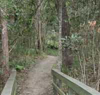 Springwood Conservation Park - Palm Beach Accommodation