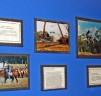 Town Hall Photographic Display - Palm Beach Accommodation
