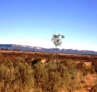 Tambos Wilderness Way - Palm Beach Accommodation