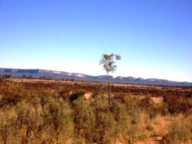 Tambos Wilderness Way - Palm Beach Accommodation 0