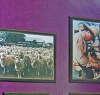 Charleville Photographic Display - Palm Beach Accommodation