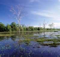 Tyto Wetlands - Palm Beach Accommodation