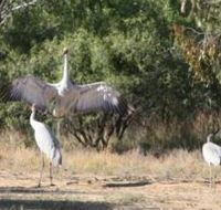 Bulloo River Walk - Palm Beach Accommodation