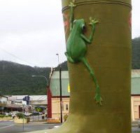 Golden Gumboot - Palm Beach Accommodation