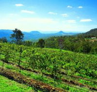 Preston Peak Wines - Palm Beach Accommodation