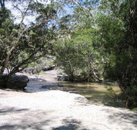 Davies Creek National Park and Dinden National Park - Palm Beach Accommodation