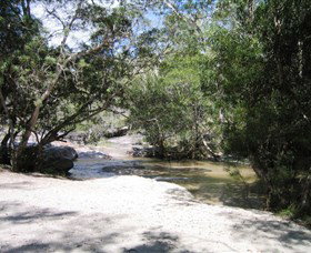Davies Creek National Park And Dinden National Park - Palm Beach Accommodation 0