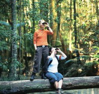 Birdwatching on the Fraser Coast - Palm Beach Accommodation