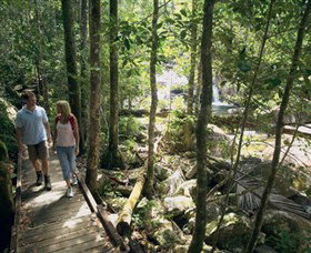 Eungella QLD Palm Beach Accommodation