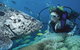 Pelorus Island - thumb 0