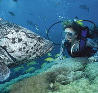 Pelorus Island - Palm Beach Accommodation