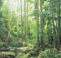 Python Rock - Palm Beach Accommodation