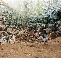 Undara Volcanic National Park - Palm Beach Accommodation