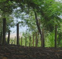 Toomulla Beach - Palm Beach Accommodation