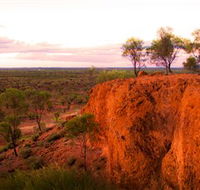 Baldy Top Lookout - Palm Beach Accommodation