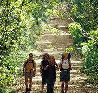 Wet Tropics Great Walk - Palm Beach Accommodation