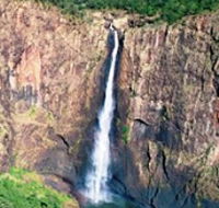 Buujan Quiinbiira Walk Wet Tropics Great Walk - Palm Beach Accommodation