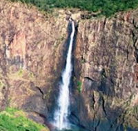 Gugigugi Butterfly Walk Wet Tropics Great Walk - Palm Beach Accommodation