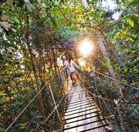 Tree Top Walkway - Palm Beach Accommodation