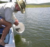 Eungella Dam - Palm Beach Accommodation