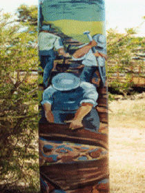 Alpha Murals - Palm Beach Accommodation