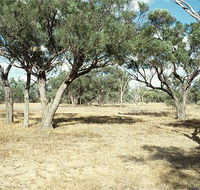 Forest Den National Park - Palm Beach Accommodation