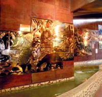 Riversleigh Fossil Centre - Palm Beach Accommodation
