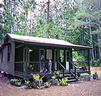Central Station - Palm Beach Accommodation