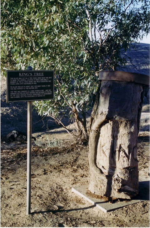Burke And Wills Dig Tree - Palm Beach Accommodation 9