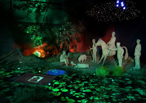 Waltzing Matilda Centre - Palm Beach Accommodation 4