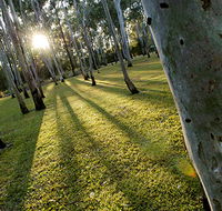 Tondoon Botanic Gardens - Palm Beach Accommodation
